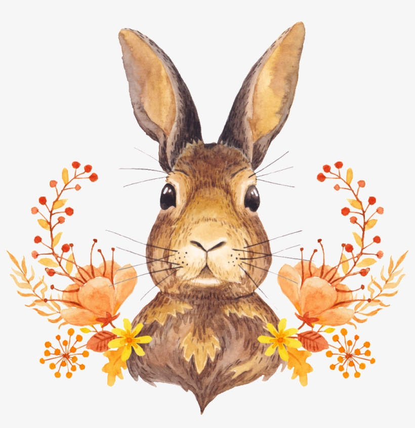 This Graphics Is Cartoon Rabbit Free Vector About Cartoon,rabbit, transparent png #4227251