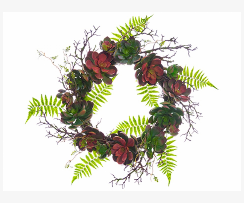 24" Soft Succulent Garden/fern Wreath Green Burgundy - Faux Succulent Fern Garden Wreath By World Market, transparent png #4227631