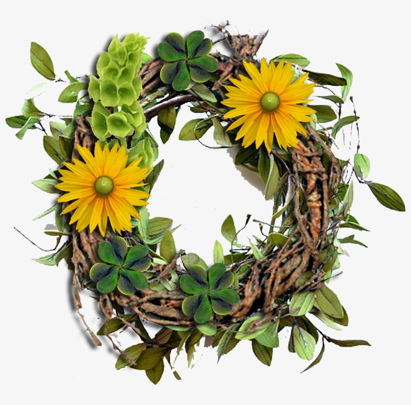 I Even Made Another Cluster Freebie For You For Today - African Daisy, transparent png #4227900