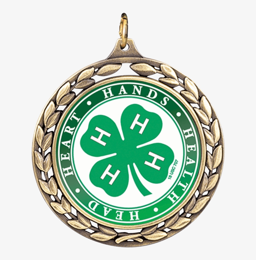Custom Wreath Medal - National 4-h Magic Of Electricity Grades 4-5 Materials, transparent png #4227906