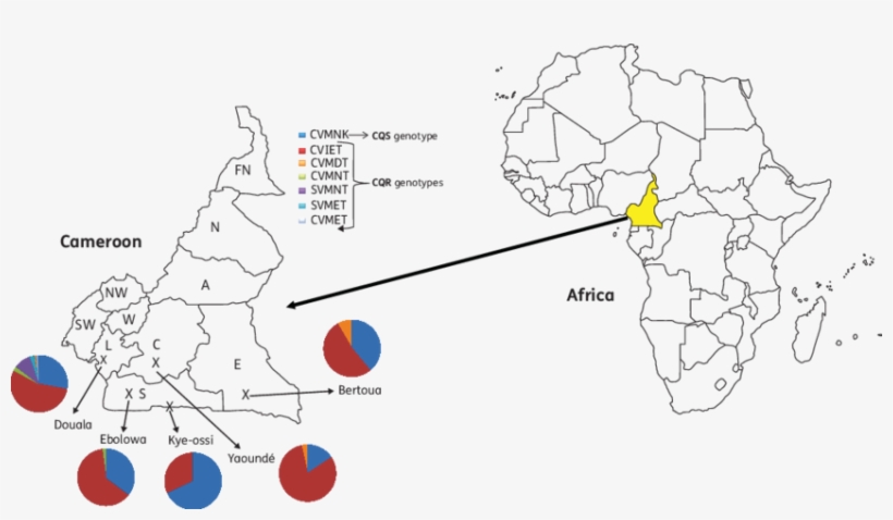 A Map Of Africa Showing The Location Of Cameroon, And - Blank Map Of Africa 1800, transparent png #4228061