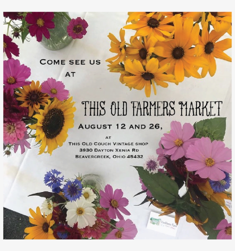 We Are Pleased To Be Vending At This Old Farmers Market, - African Daisy, transparent png #4228112