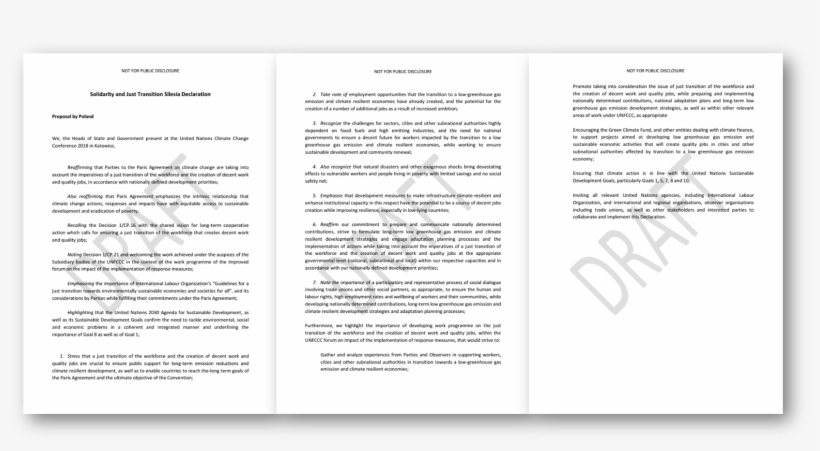 Poland's Un Climate Leadership Emphasises Need For - Just Transition, transparent png #4228993