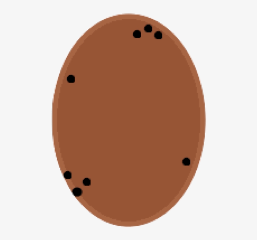 Potatoe - Portable Network Graphics, transparent png #4230490