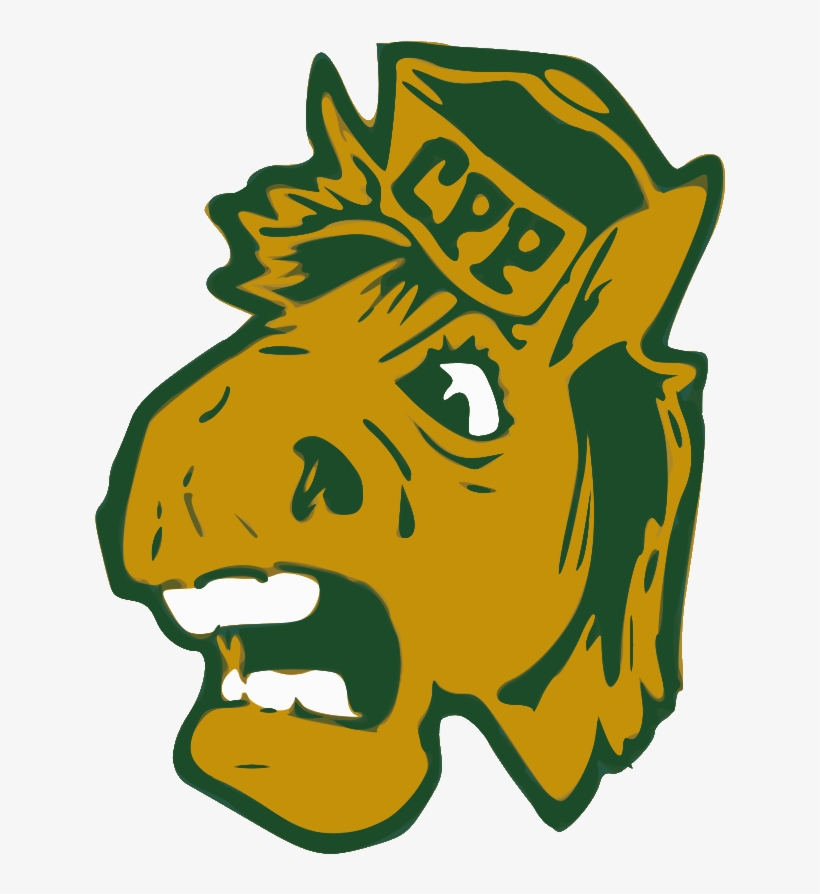 Billy Bronco - Broncos California State Polytechnic University Pomona, transparent png #4230952