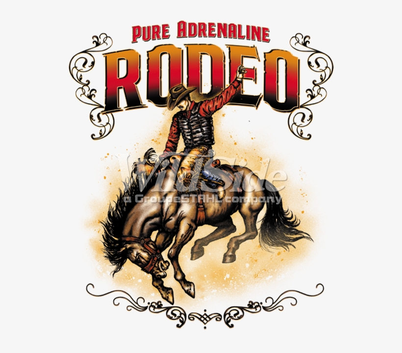 Pure Adrenaline Rodeo - Bronco, transparent png #4231101