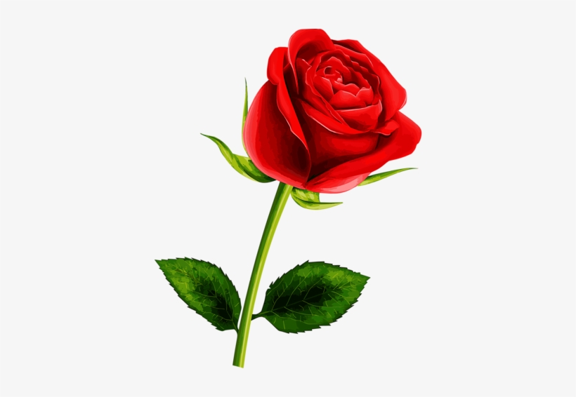 Roses Flower Clipart, transparent png #4231592