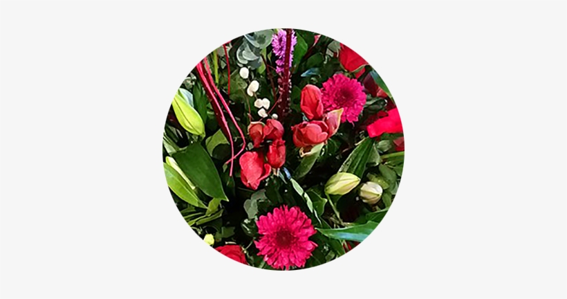 Mallow Flowers And Gifts - Gift, transparent png #4231852