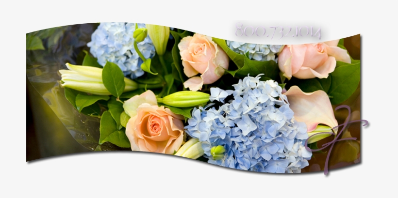 Sympathy Flowers Baltimore Cockeysville Towson - Baltimore, transparent png #4232183