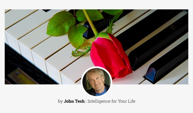 Trends In Funeral Music Selections - John Tesh - Grand Piano Christmas, transparent png #4232234