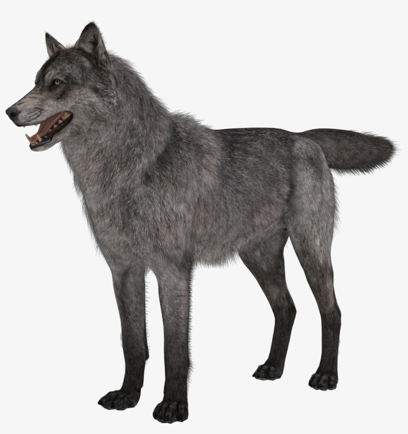 Free Call Of Duty Ghosts Riley Png - Call Of Duty Ghosts Wolves, transparent png #4232263