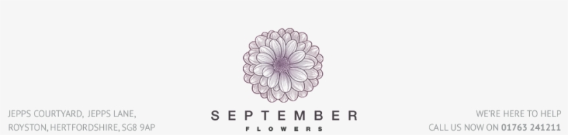 Dahlia, transparent png #4232265