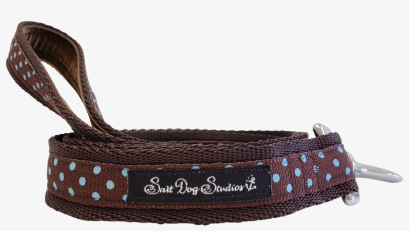 Classic Aqua On Brown Polka Dot Ribbon Dog Lead - Storage Basket, transparent png #4233889