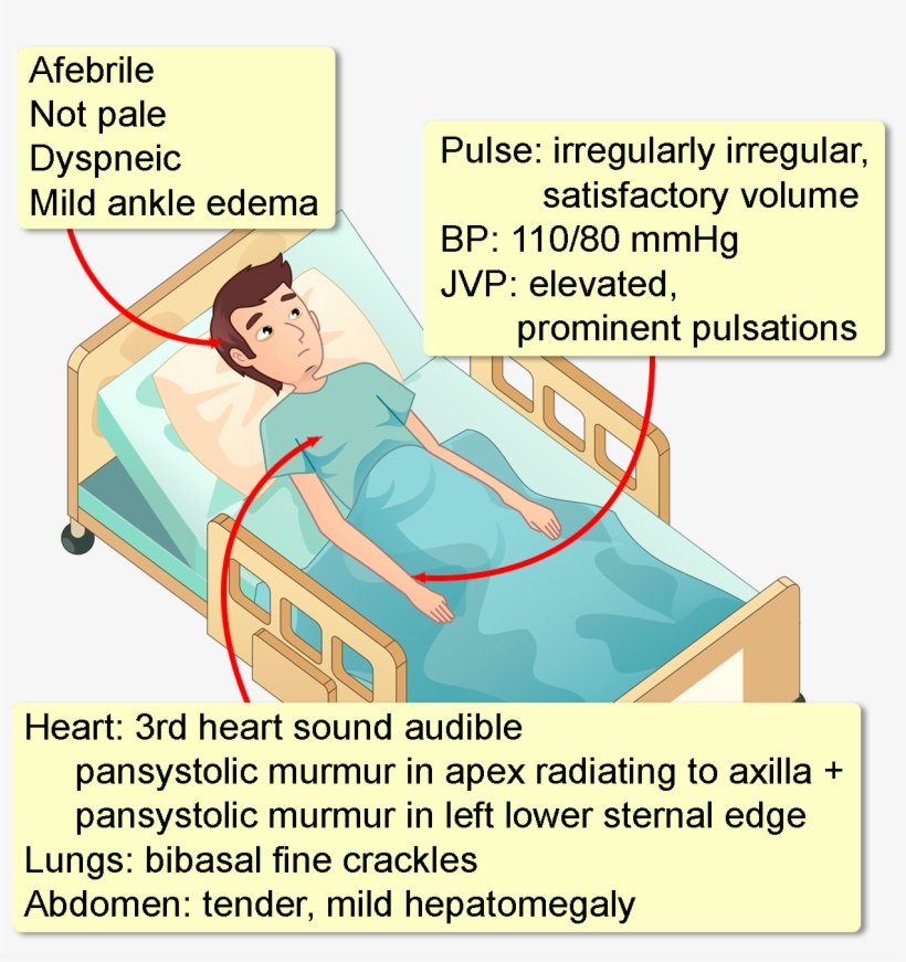 Cartoon, transparent png #4234314