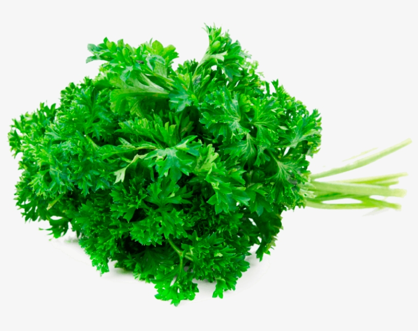 Perejil Triple Curled - Green, transparent png #4235519