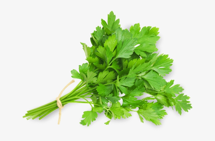 Perejil - Cont Parsley, transparent png #4235541