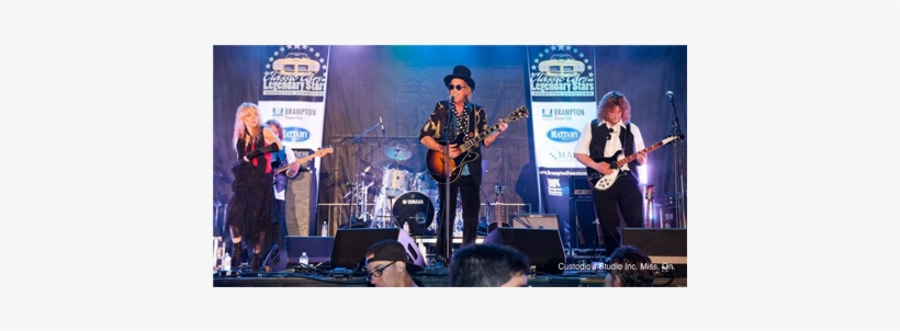 New Years Eve With Practically Petty & Fleetwood Nicks - Fleetwood Nicks, transparent png #4235961