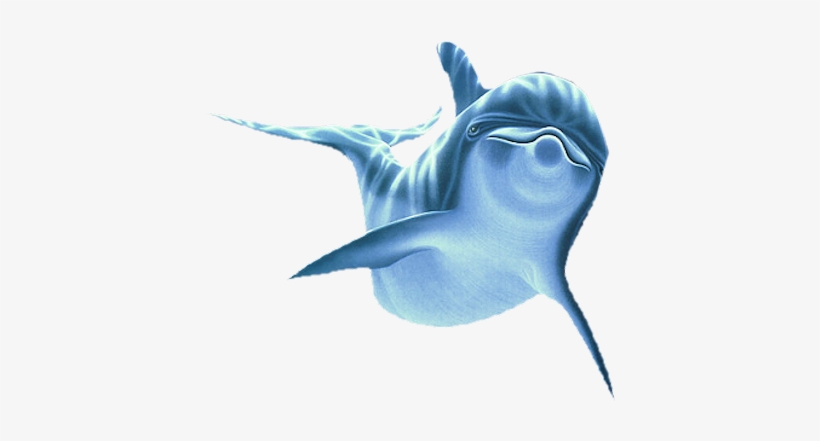 Cascade 1 1 78 K6ngnpgfwehnc 79cs-da0s 0 E89bd 46240570 - Dolphin Png, transparent png #4235988
