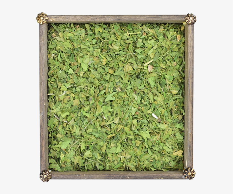 Perejil - Parsley, transparent png #4236258