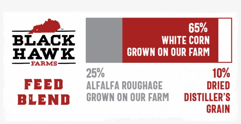 Black Hawk Differences-05 - Love Black Boys, transparent png #4237152