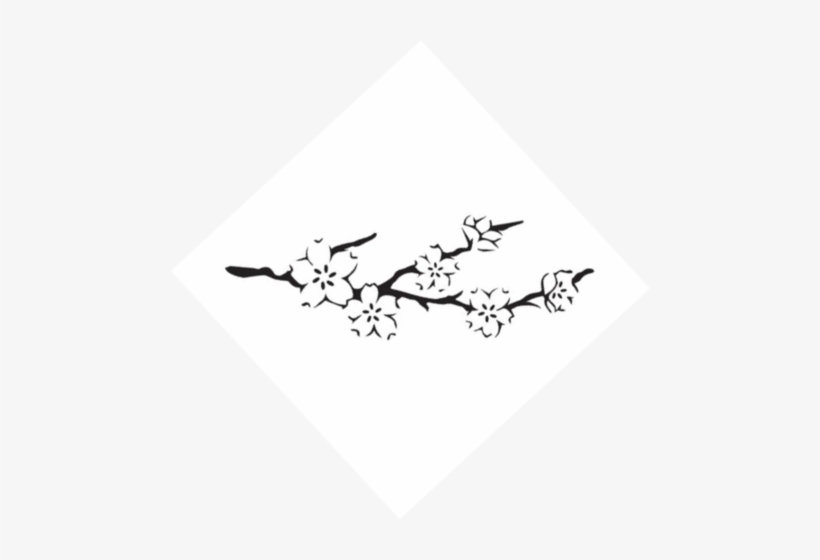 Palm De Rosa - Moth Orchid, transparent png #4237518