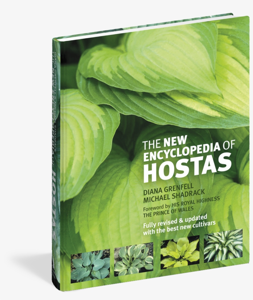 The New Encyclopedia Of Hostas - New Encyclopedia Of Hostas, transparent png #4237560