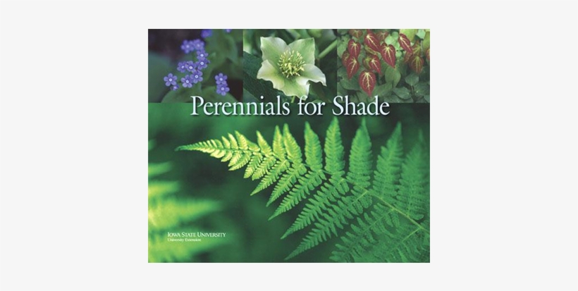 Silence Ça Pousse! - L'hiver Au Jardin (3 Dvd), transparent png #4237876