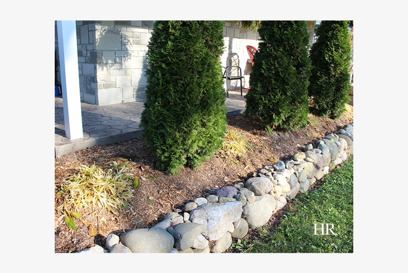 How To Prepare Hostas For Winter - Winter, transparent png #4238323