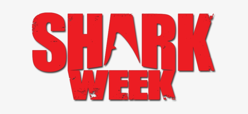 Shark Week, Tv Fan, Fan, - Shark Week Logo Png, transparent png #4238647