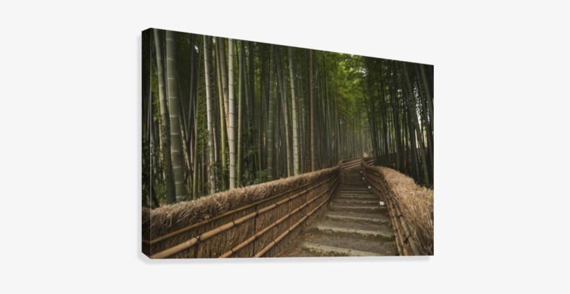 Stone Pathway In Bamboo Forest - Supplier Generic Stone Pathway In Bamboo Forest Arashiyama, transparent png #4238674
