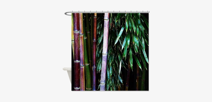 Asian Tropical Bathroom Home Decor Bamboo Forest Nature - Bamboo, transparent png #4238764