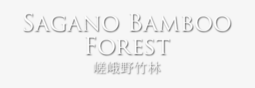 Sagano Arashiyama Bamboo Forest - Arashiyama, transparent png #4238792