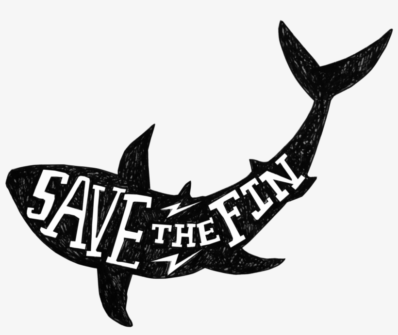 Shark Png Transparent - Save The Sharks Transparent, transparent png #4238825