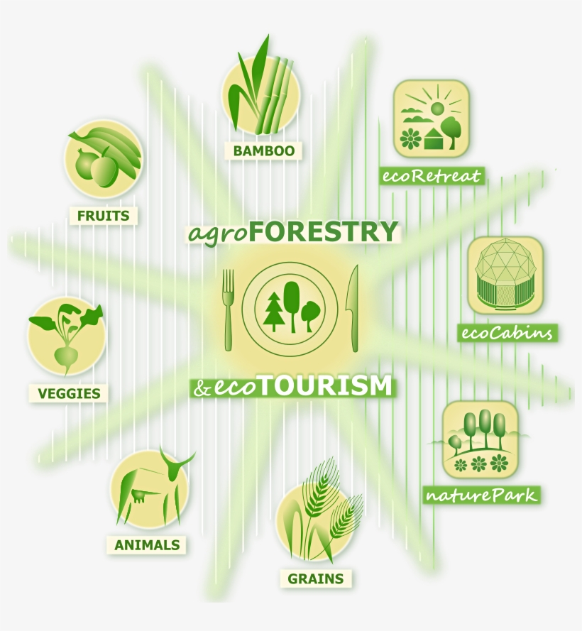 Regenerative Agriculture, Agroecology And Agroforestry - Bamboo Forest Ecosystem Logo, transparent png #4238942