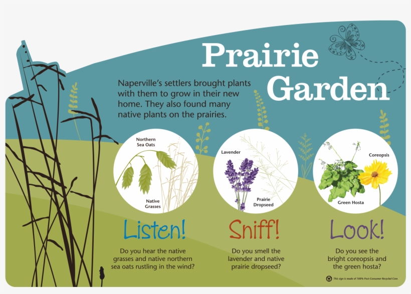 Naper Settlement Playscape Signage - Breathe Easy - 100% Pure Essential Oil Therapeutic, transparent png #4239145