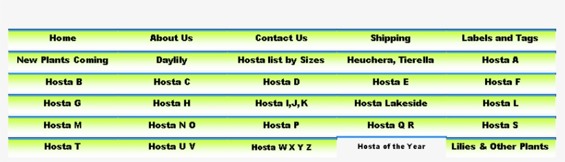 Click On The Photo Below To Be Taken To The Detail - Plantain Lilies, transparent png #4239172