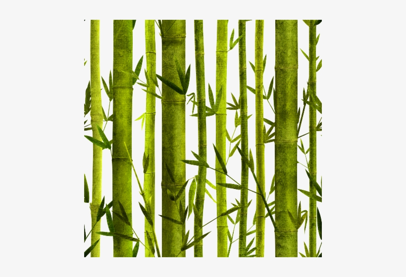 Bamboo Lessons Twin Duvet, transparent png #4239612