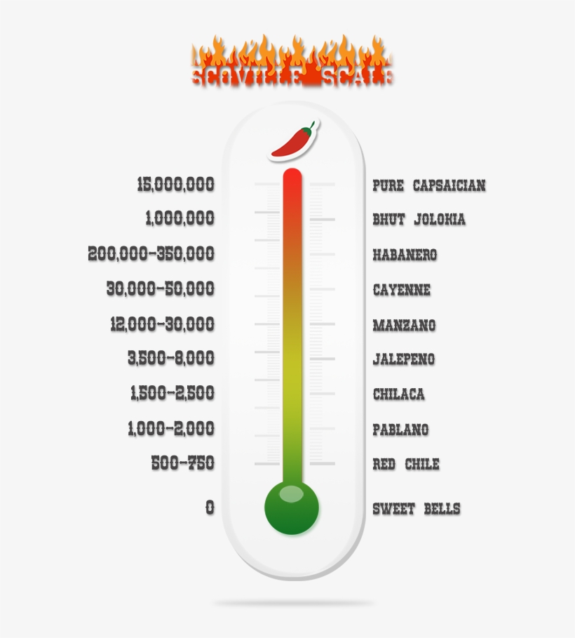 Additional Resources - - Spice Thermometer, transparent png #4240032