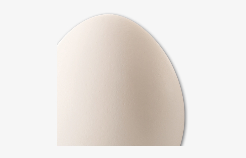 Egg Picture - Centrum Valley Farms, Llp, transparent png #4240505