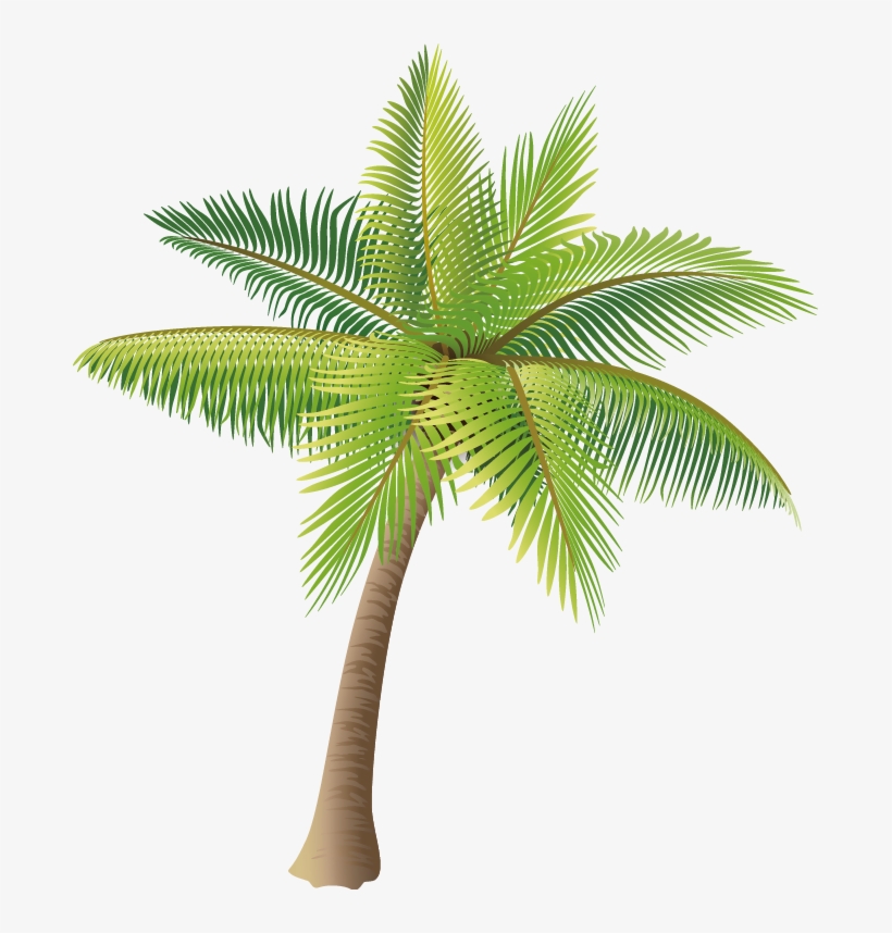 Coconut Tree Transparent Images - Coconut Tree Vector Png, transparent png #4241074