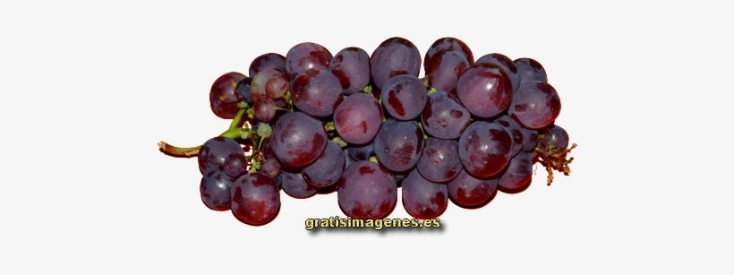 Racimo De Uvas - Seedless Fruit, transparent png #4241432