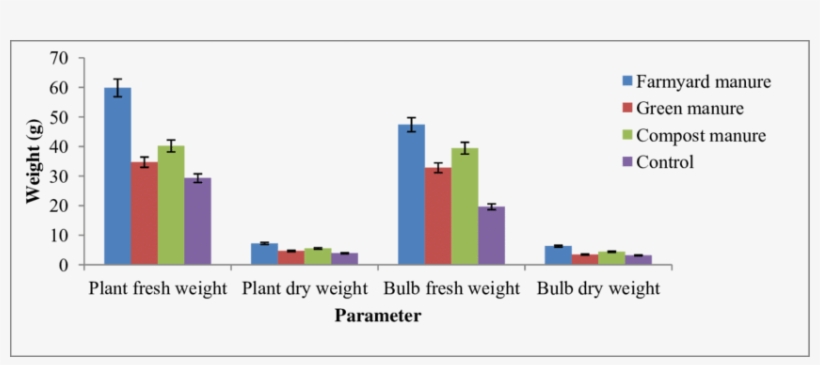 Fresh And Dry Weight, Bulb Fresh And Dry Weight Of - Onion, transparent png #4241584