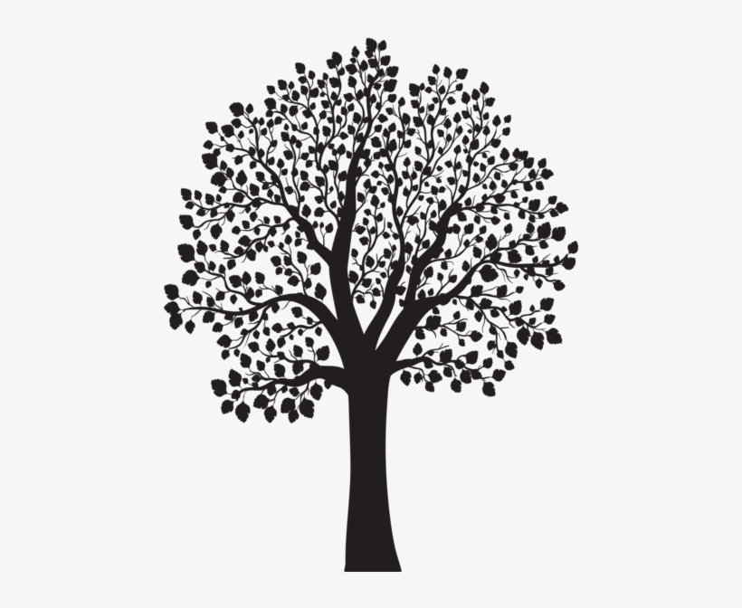 0, - Albero Autunno Vettoriale, transparent png #4241642