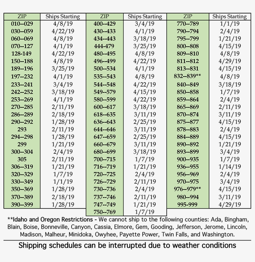 Shop For Onion Plants - Number, transparent png #4241718