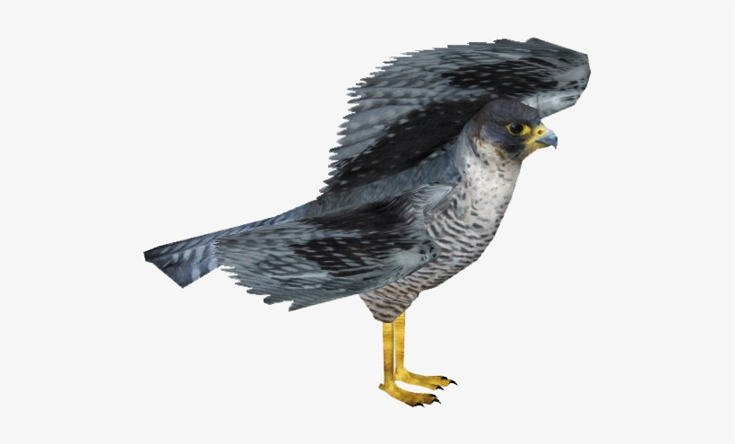 Falconperegrine Zerosvalmont - Peregrine Falcon Zt2, transparent png #4241893