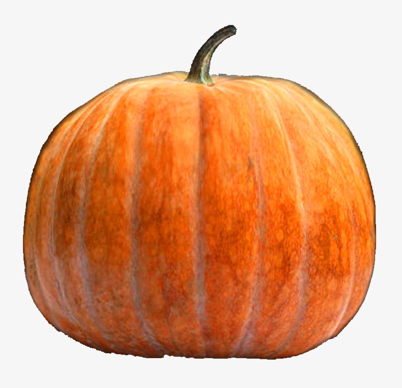 Online Pumpkin Carving - Pumpkin, transparent png #4241968