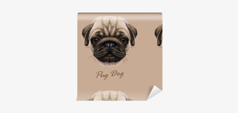 Vector Illustrative Portrait Of Pug Dog - Infographic Pug, transparent png #4242044