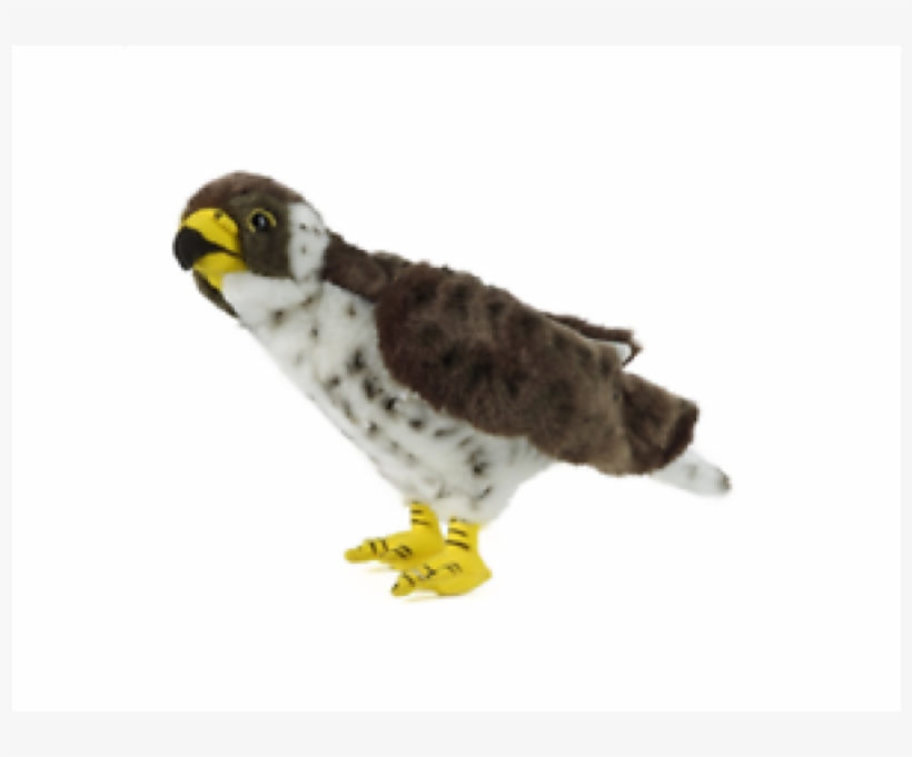 Falcon Soft Plush Toy Bird - Living Nature Teddy Prey, transparent png #4242098
