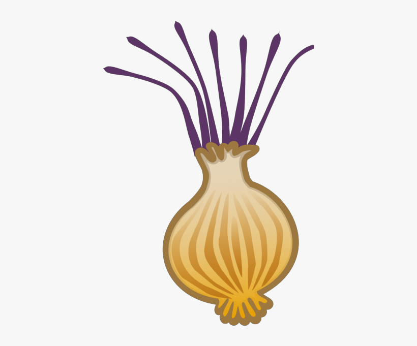 Onion - Vegetables Clipart, transparent png #4242143