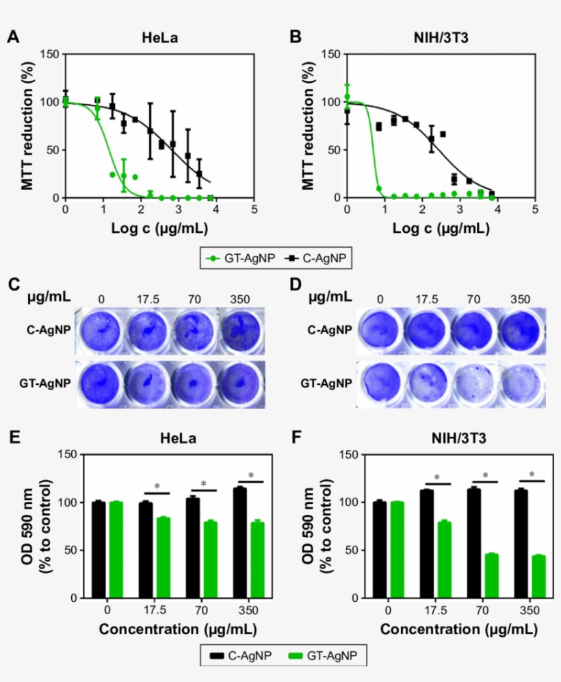 Antiproliferative And Cytotoxic Effects Of Green Synthesized - Cell, transparent png #4242355